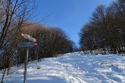 70 Neve salendo in Monte Tesoro sul 571 DOL